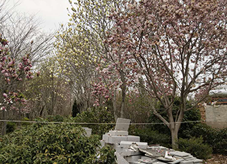 青島庭院設(shè)計(jì)施工|青島別墅景觀|黃島綠植租擺|青島中林景觀綠化工程有限公司